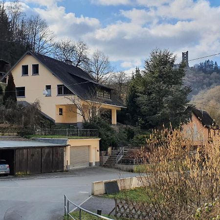 Grosses Ferienhaus Sauerburgblick Sauerthal Exteriör bild